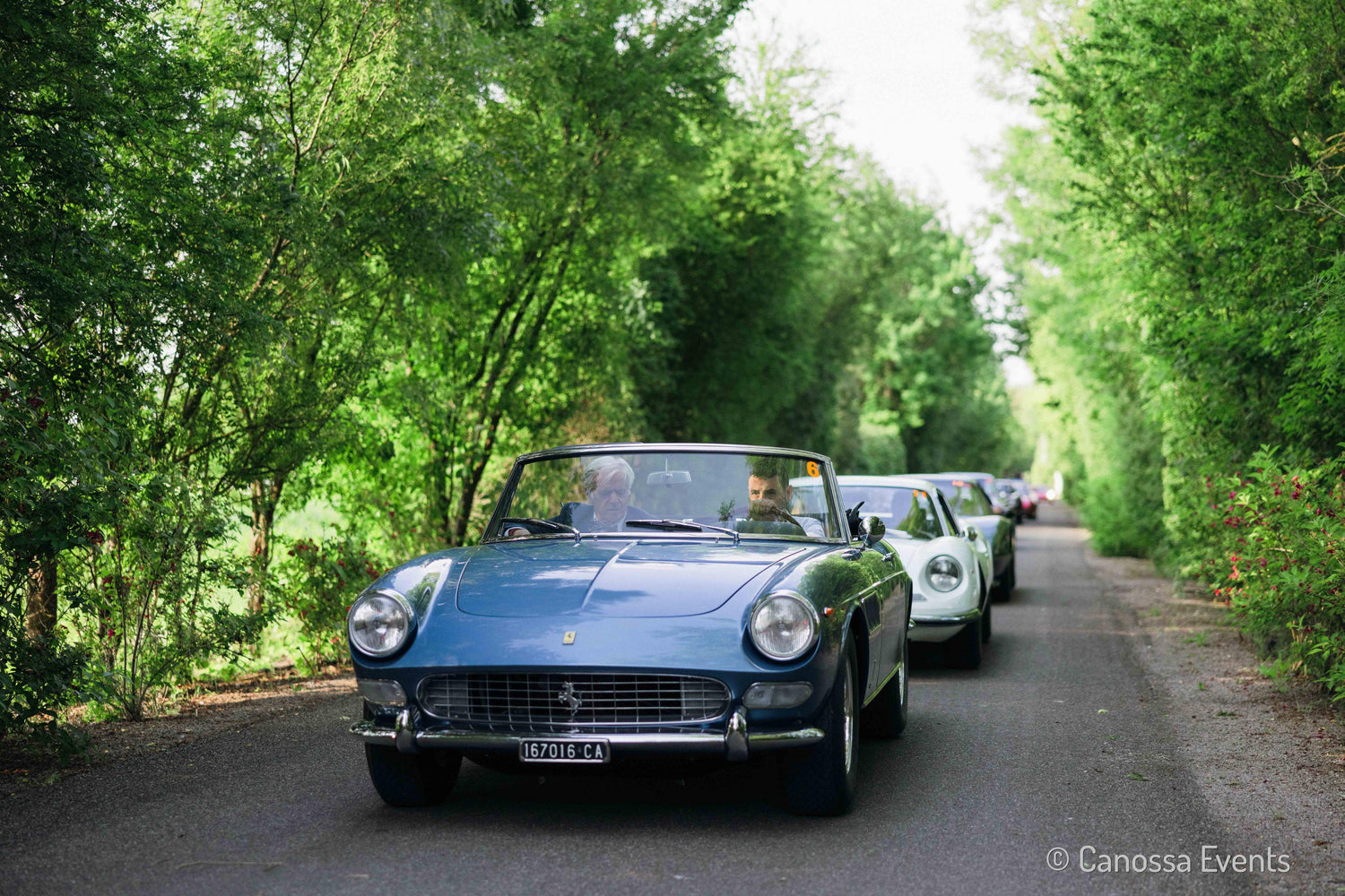 1965 Ferrari 275 GTS (Pininfarina) sn 275GTS*07513 AU-27202