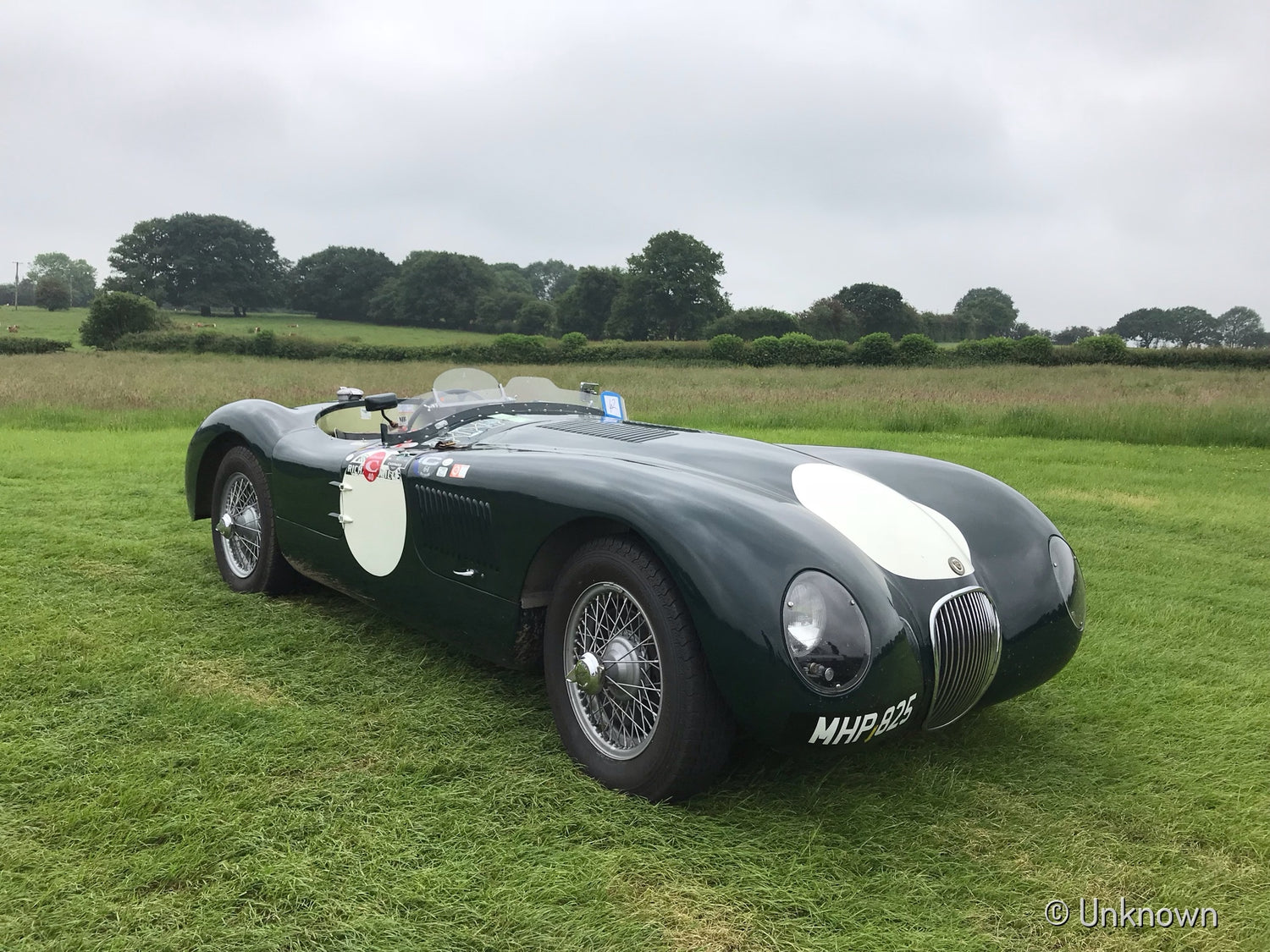 1952 Jaguar C-type (Jaguar) sn XKC 008 AU-25183