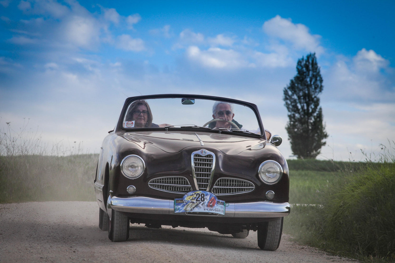 1952 Alfa Romeo 1900 L Cabriolet Victoria (Stabilimenti Farina) sn AR190020075 AU-19805
