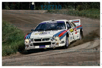 1984 rally 1000 laghi.jpg