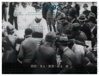 Archivio Istituto Luce2.png