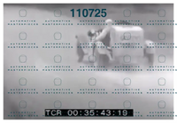 Archivio Istituto Luce23.jpeg