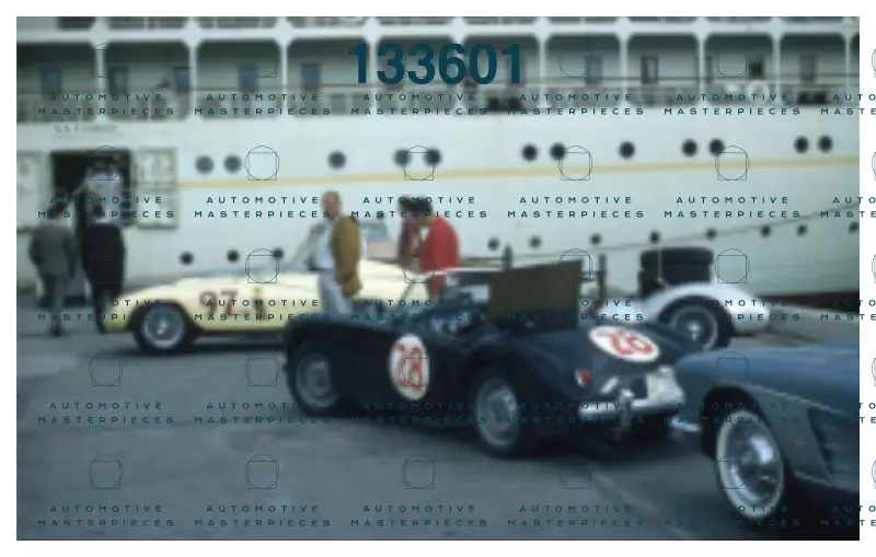 Immagine 17 novembre 2025 22:55:45.jpg