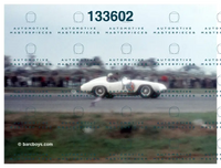 Immagine 17 novembre 2025 23:14:54.jpg