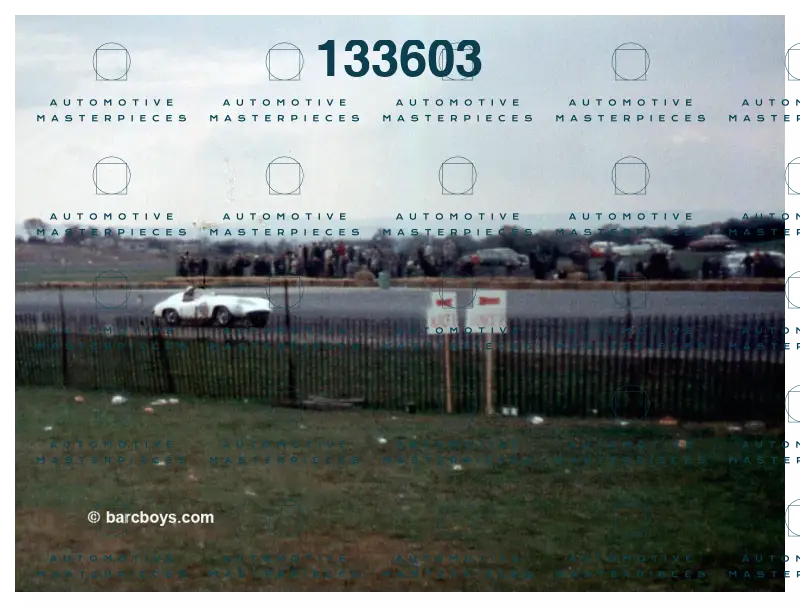 Immagine 17 novembre 2025 23:25:38.jpg