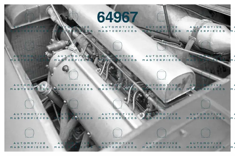 Immagine 21 luglio 2021 01:53:51.jpg