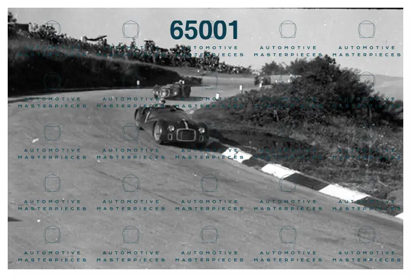 Immagine 21 luglio 2021 11:17:08.jpg