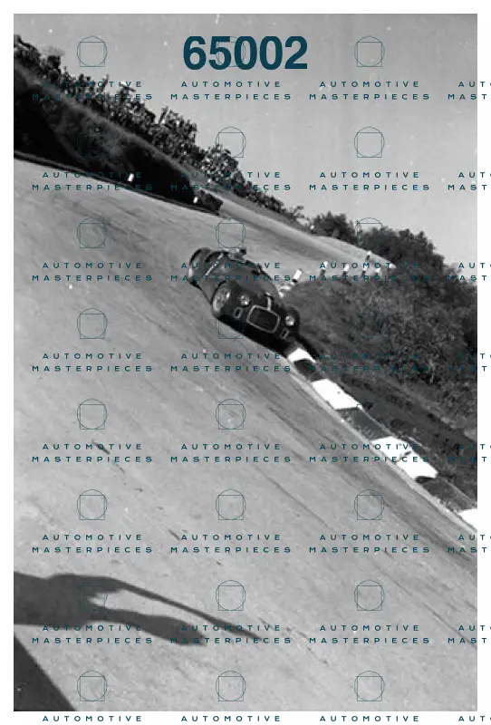 Immagine 21 luglio 2021 11:19:30.jpg