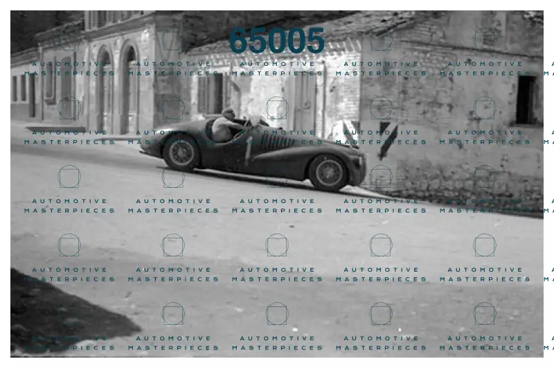 Immagine 21 luglio 2021 11:24:17.jpg