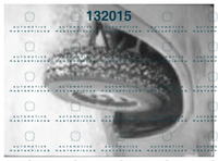 MC Klein 700211STraining jd 0328 b.png