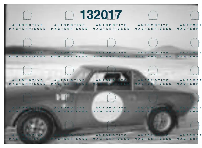 MC Klein 700211STraining jd 0329 b.png