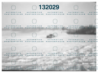 MC Klein 700211STraining jd 0335 a.png