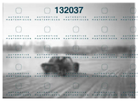 MC Klein 700211STraining jd 0339 a.png