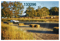 NEW Stephen Peavey REVS Elkhart 2014-012PEAV-1956-b1_4.2_0016.jpg