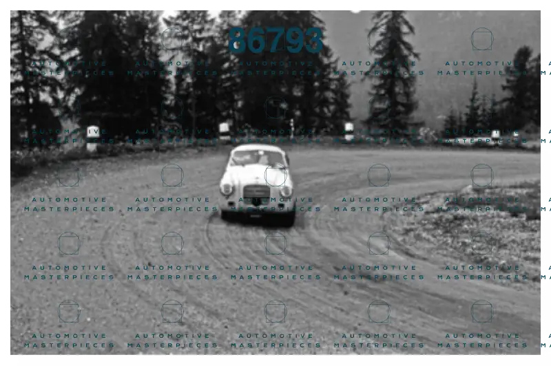 Negri 00843 copia.png