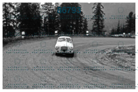 Negri 00843 copia.png