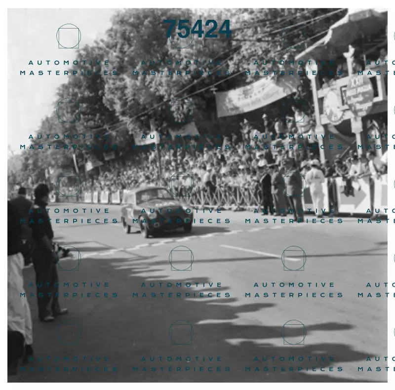 Negri Cinelli 200256.png