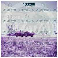 REVS 2015-012BURN-b13_1.1_0003.jpg