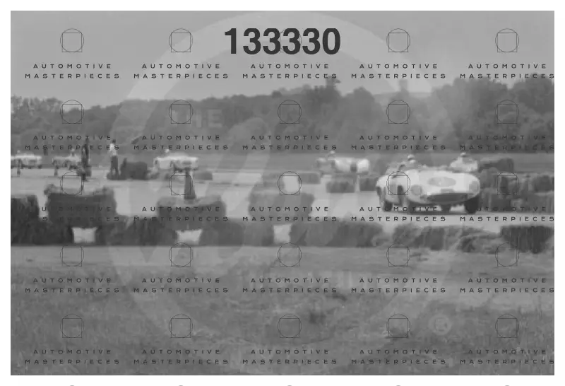 REVS 2015-012BURN-b6_1.4_0003.jpg