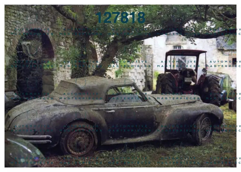 Unknown AlfaCompanion.png