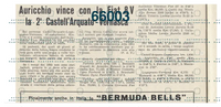 Immagine 1 novembre 2021 01:28:09.jpg