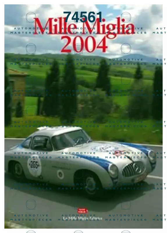 0028658_mille-miglia-2004_550.jpeg