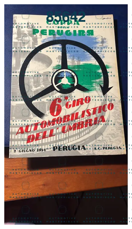 Immagine 16 luglio 2022 13:47:01.jpg