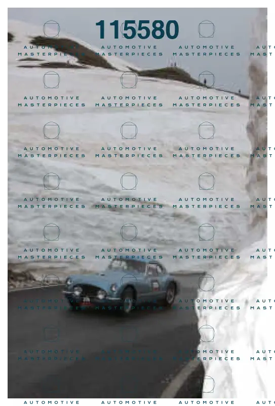 report.JPG