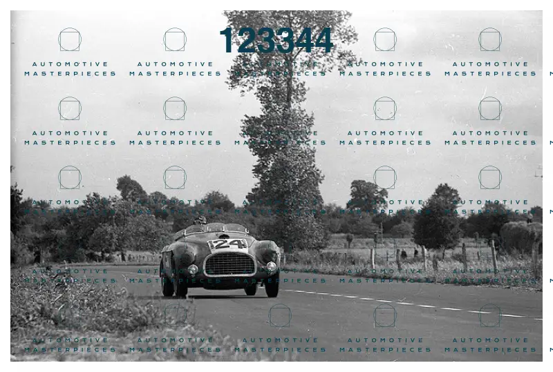Immagine 22 agosto 2024 15:42:27.jpg