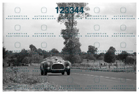 Immagine 22 agosto 2024 15:42:27.jpg