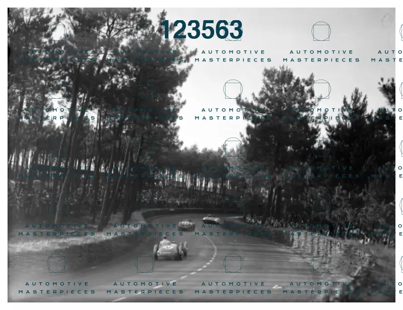 Motorsport Images 1017373979.jpg
