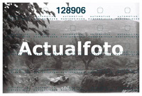 1955 treponti castelnuovo_3.jpg