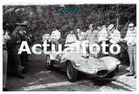 1956 compiano vetto_4.jpg