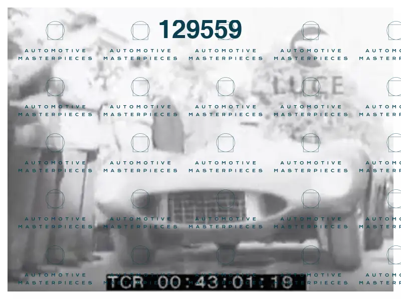 #728_Mondo Libero - ML019505_1.png
