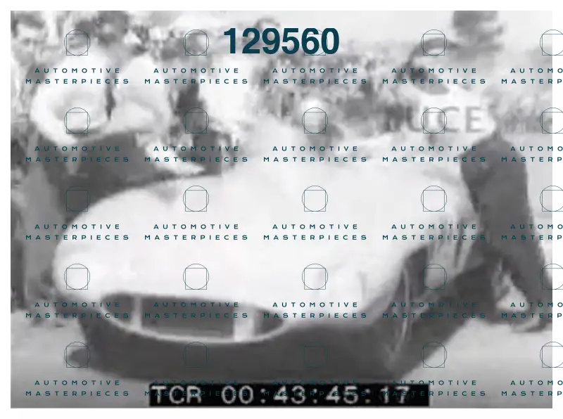 #728_Mondo Libero - ML019505_2.png