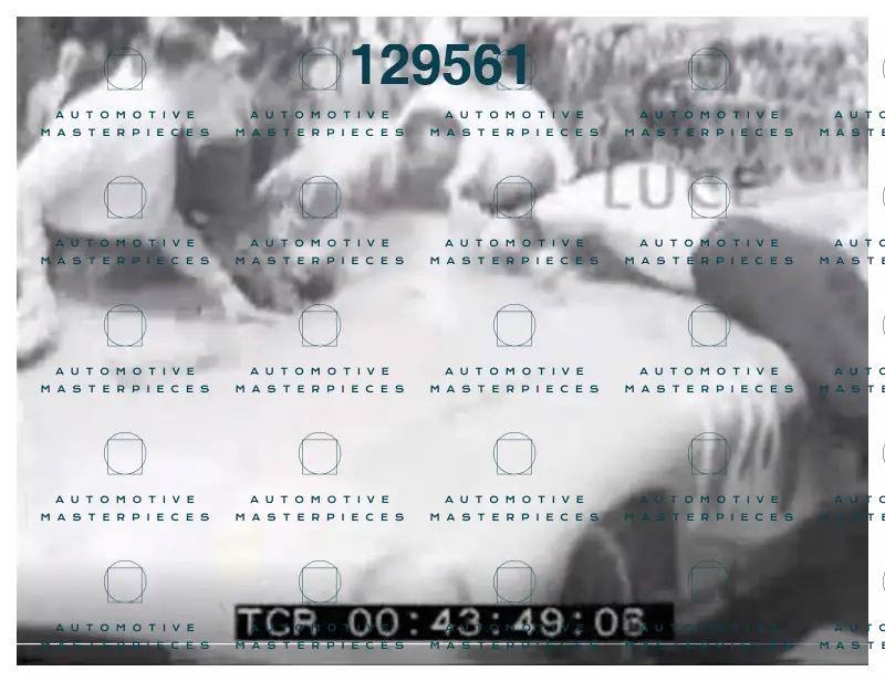 #728_Mondo Libero - ML019505_3.png