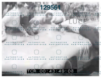 #728_Mondo Libero - ML019505_3.png