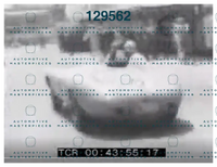 #728_Mondo Libero - ML019505_4.png
