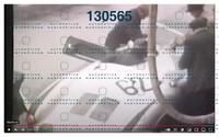 King Rose Archive 6.png