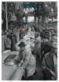 Screenshot 2025-08-06 alle 16.42.12.png