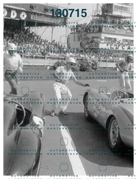550-0047_6.jpg