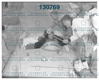 HFM_2009.158.N.11459.png