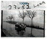 1956 #307 Millanta negativo 23083.png