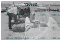 Screenshot 2025-08-20 alle 12.41.44.png