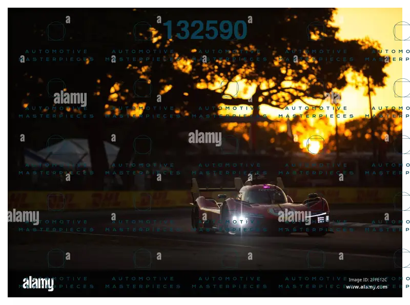 Alamy 2PFE12C.jpg