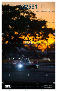 Alamy 2PFE130.jpg
