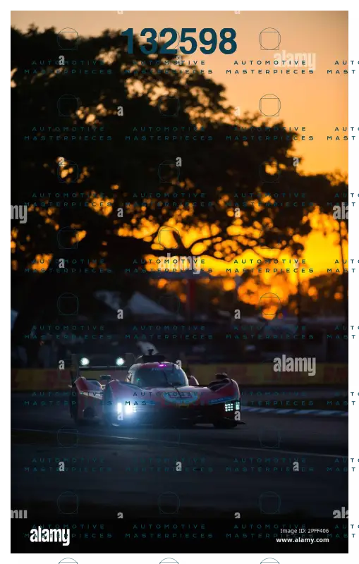 Alamy 2PFF406.jpg