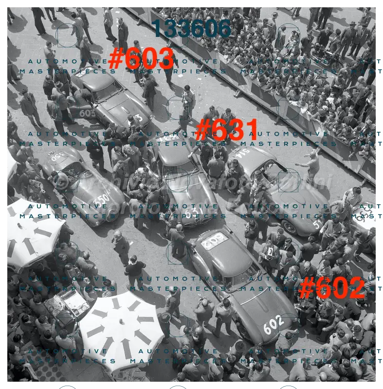 3669 copia 2.jpg