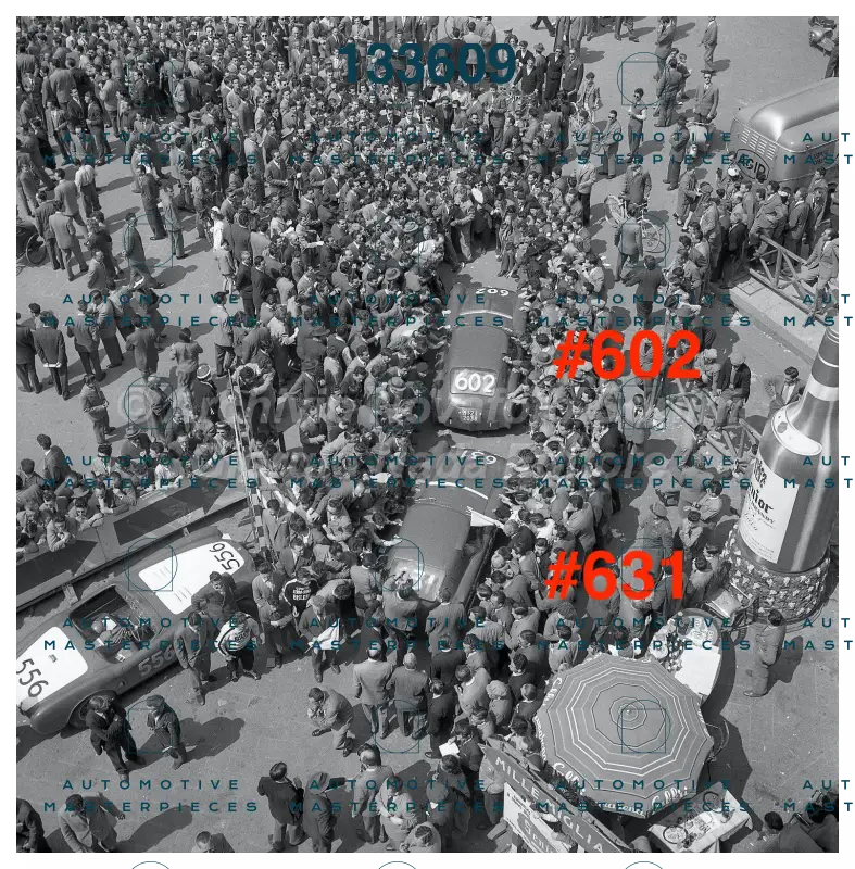 3673 copia 2.jpg