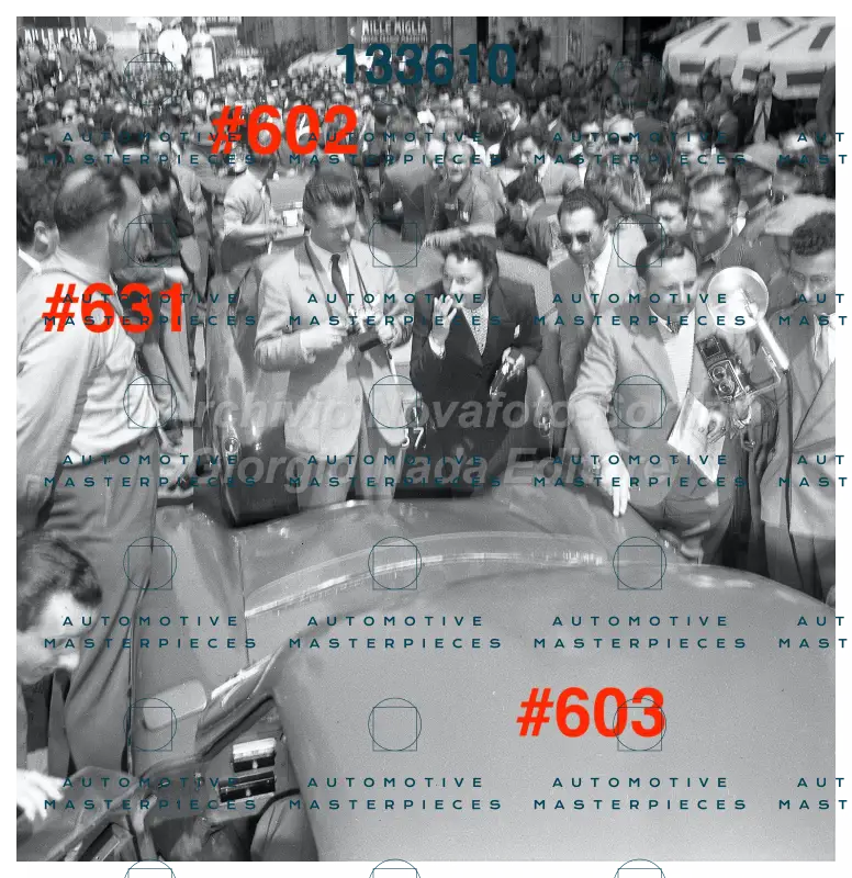 3684 copia 2.jpg